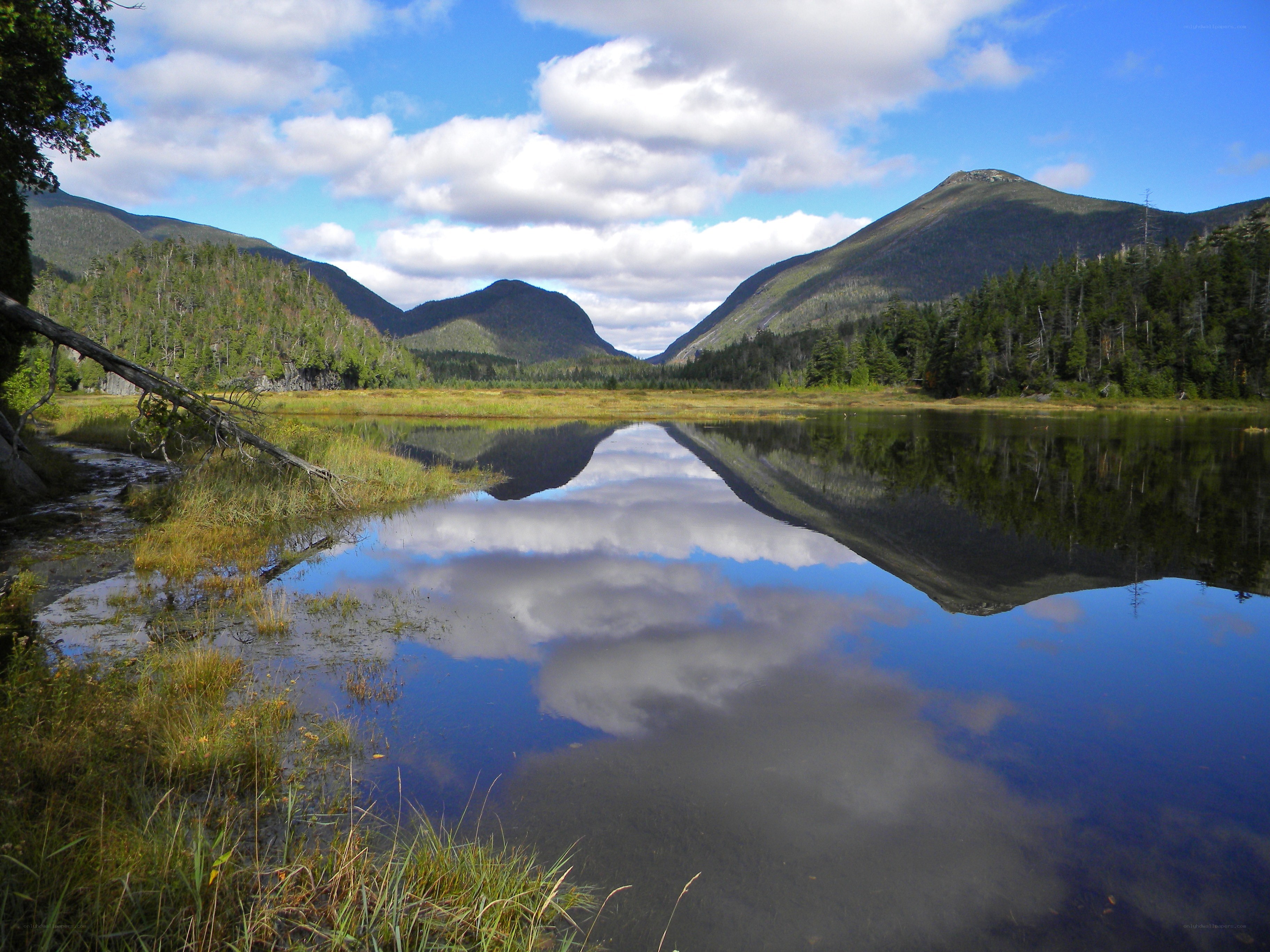 Mountain lake reflection scene