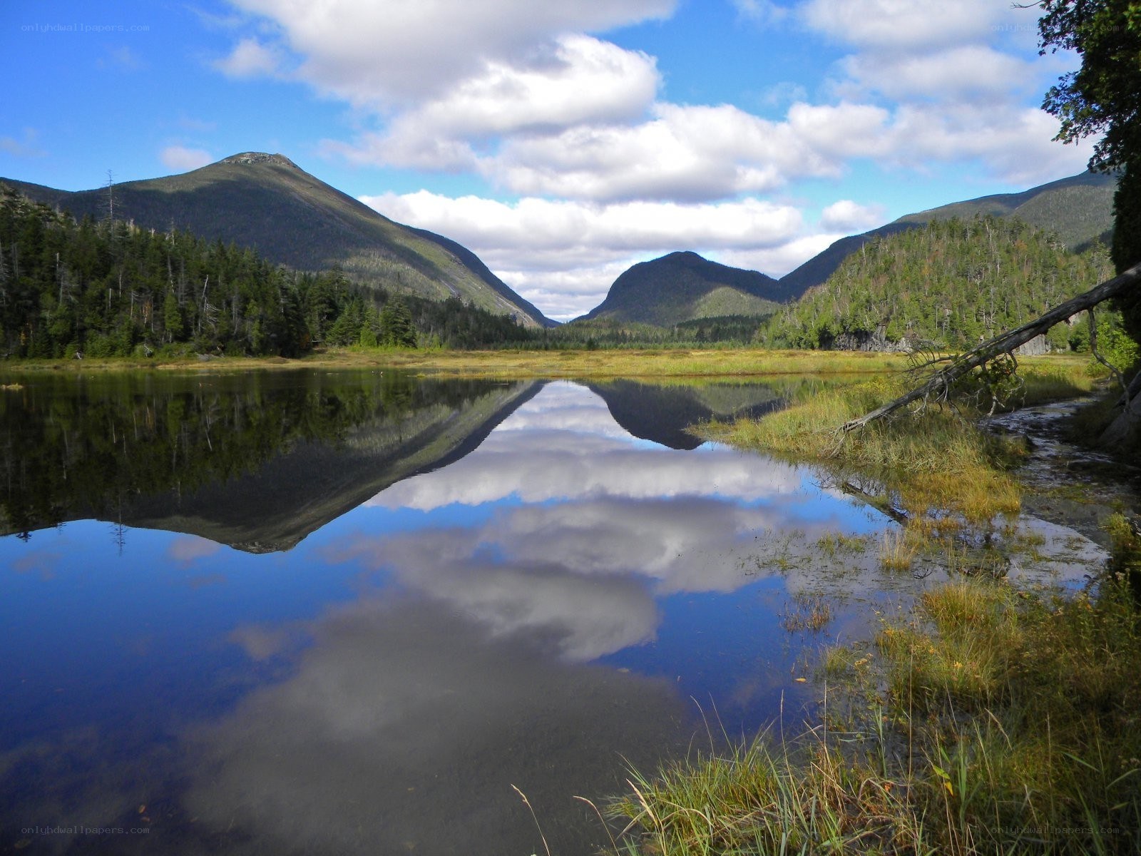Mountain lake reflection scene
