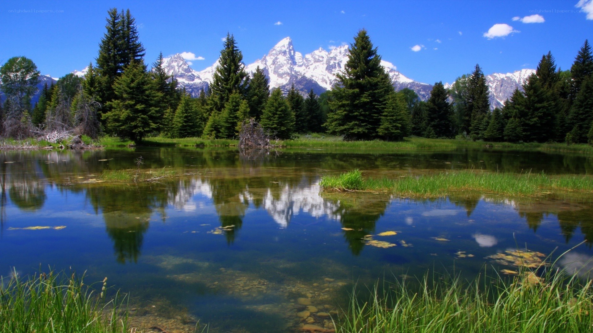Mountain lake reflection scene