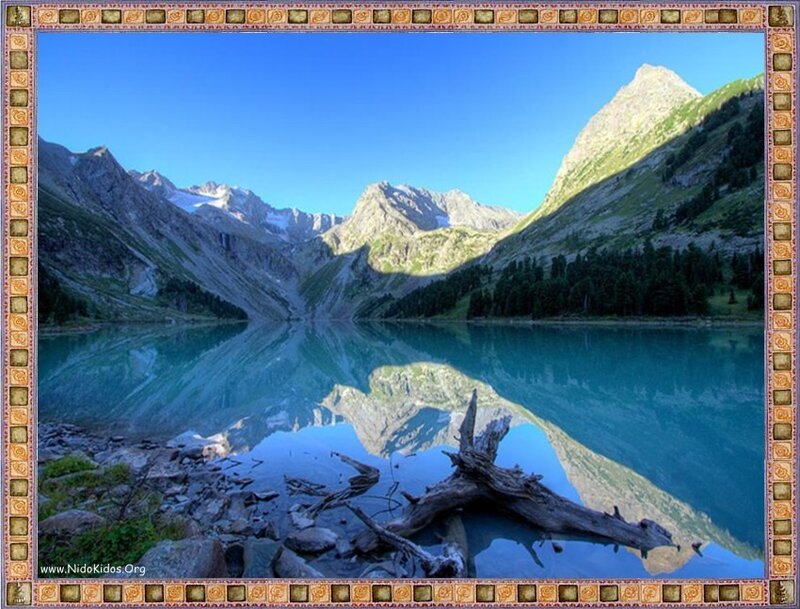 Mountain Lake Reflection — Serene, Driftwood