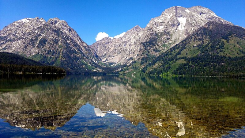 Mountain Lake Reflection — Trees, Gray