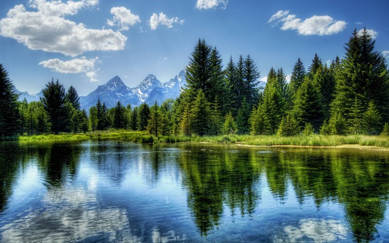 Mountain Lake Reflection — White