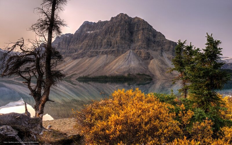 Mountain Lake Reflection — Yellow, Serene, Sunset, Photograph, Tree