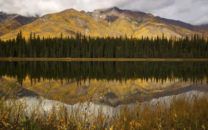 Mountain Lake Reflection — Yellow, Serene