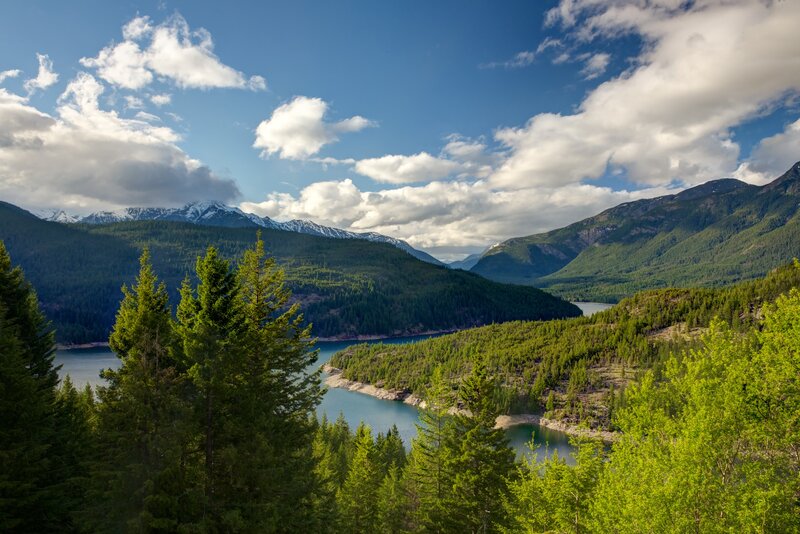 Mountain lake surrounded by forest