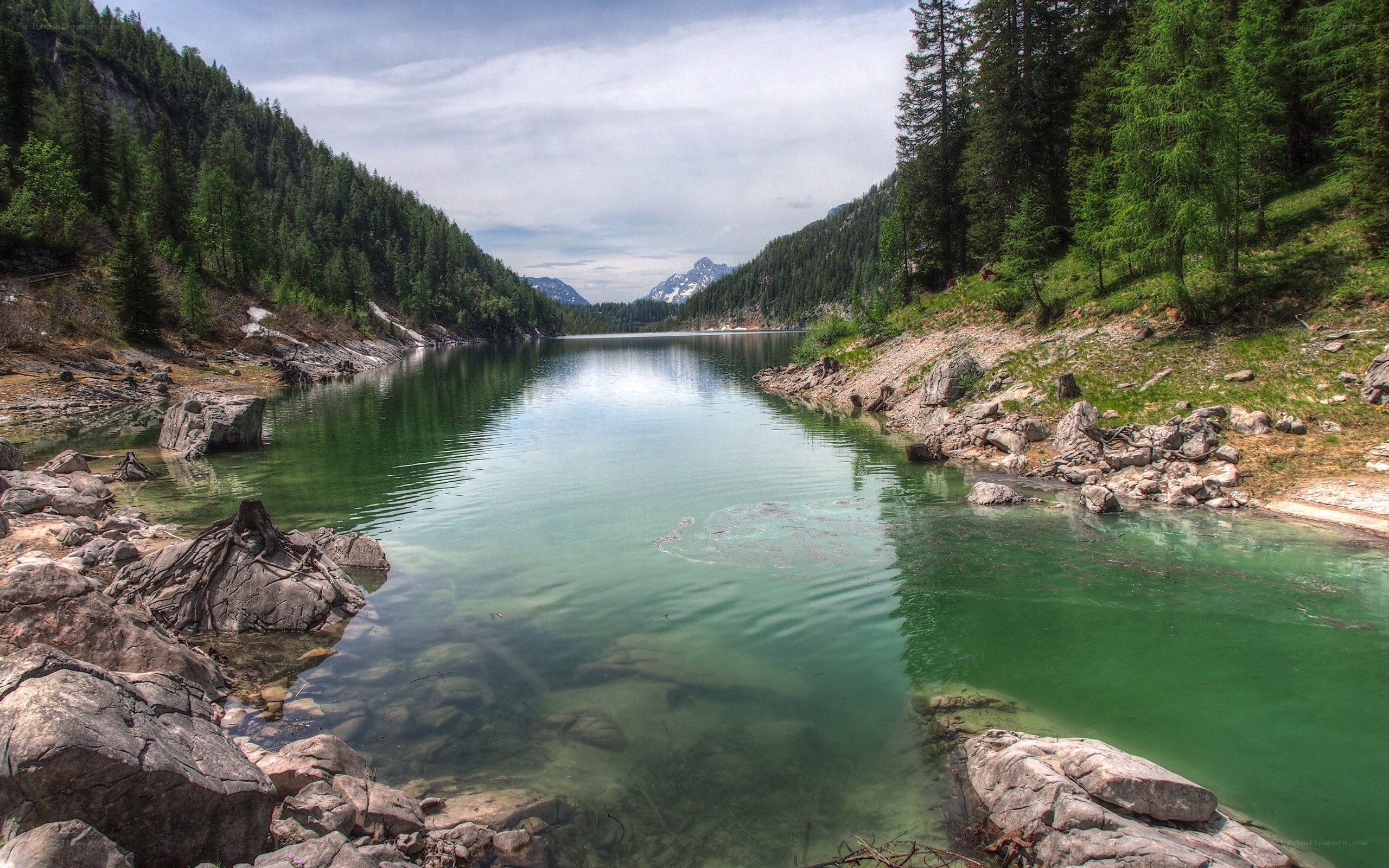 Mountain lake surrounded by forest
