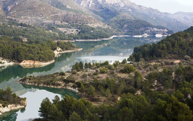 Mountain lake surrounded by forest