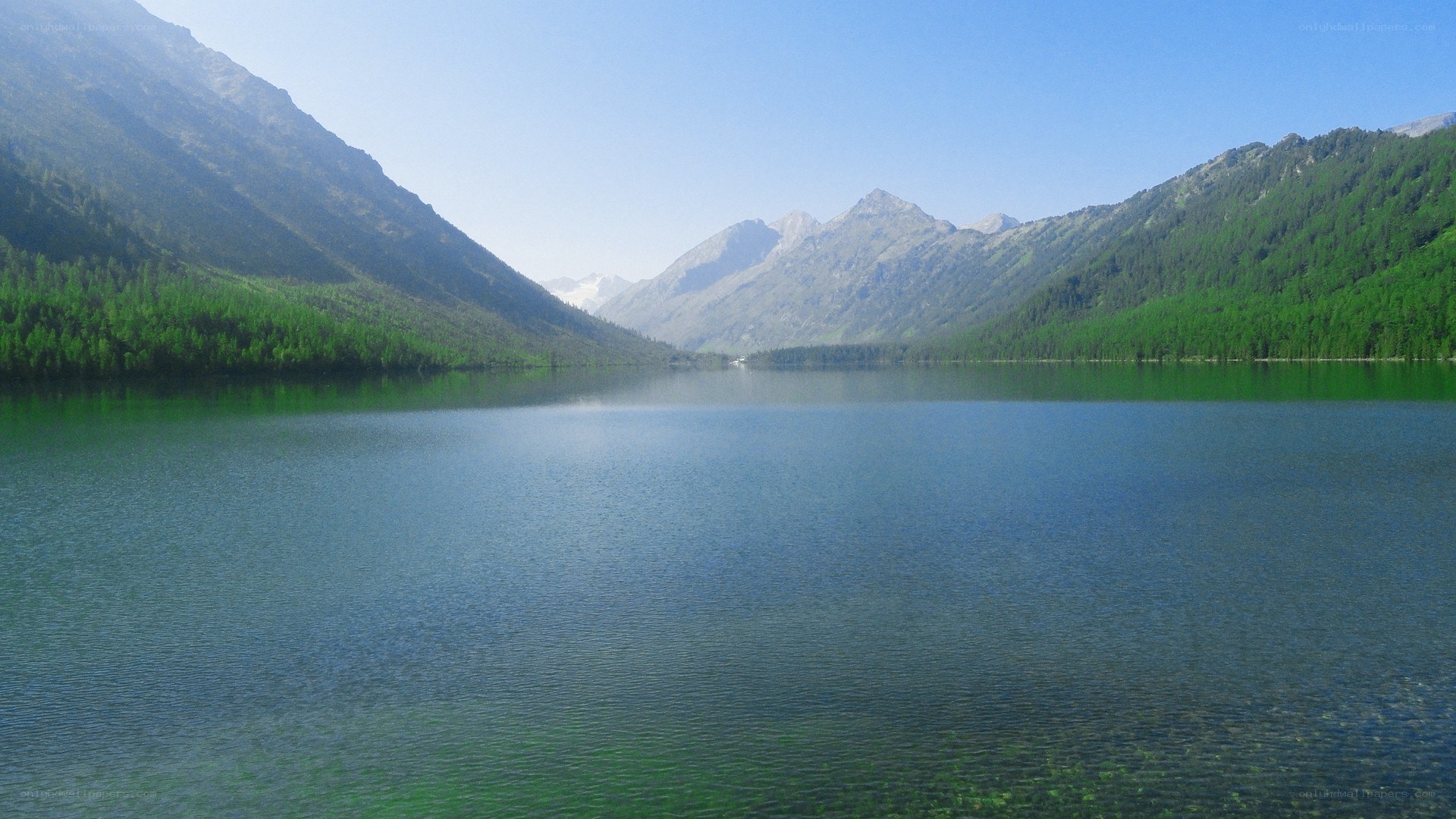 Mountain lake surrounded by forest
