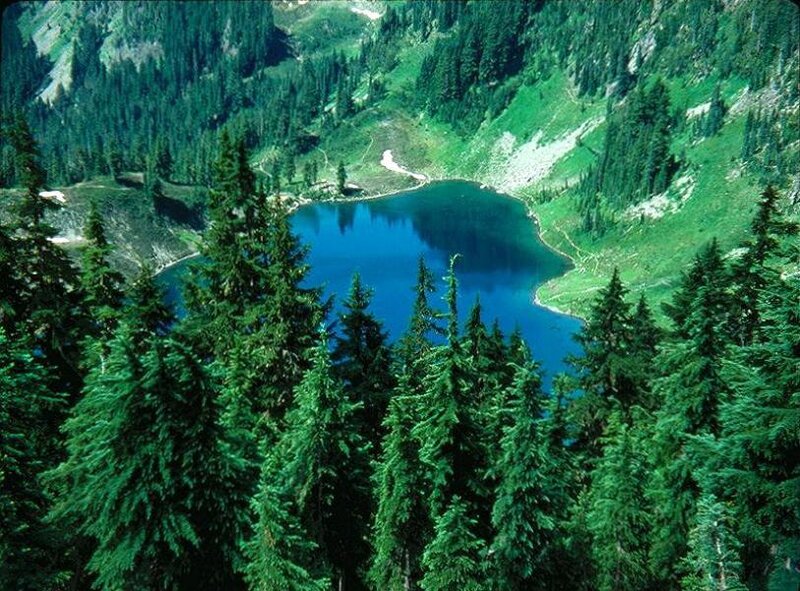 Mountain lake surrounded by forest