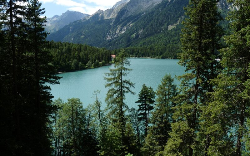 Mountain lake surrounded by forest