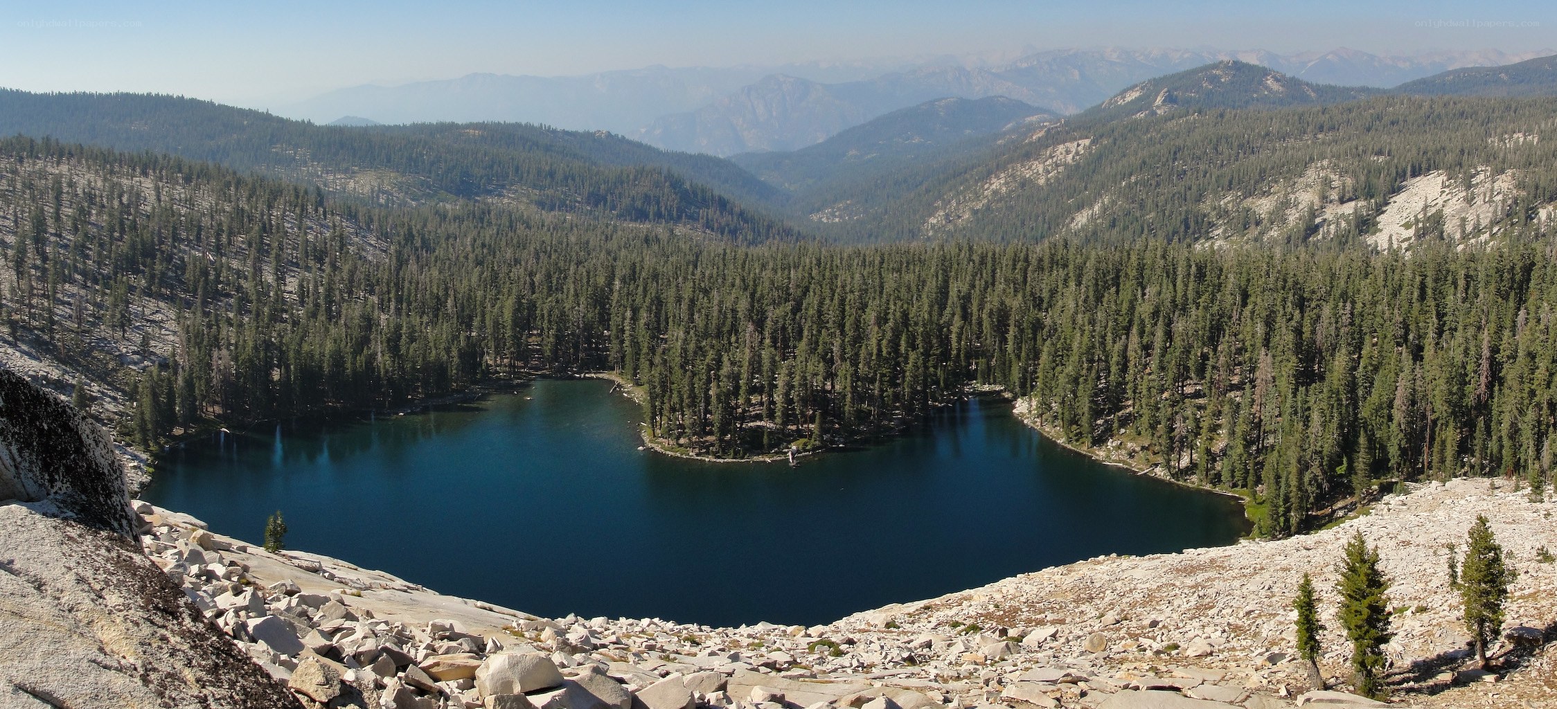 Mountain lake surrounded by forest