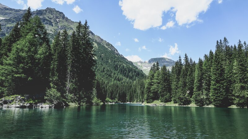 Mountain Lake Surrounded by Trees — Green, Serene