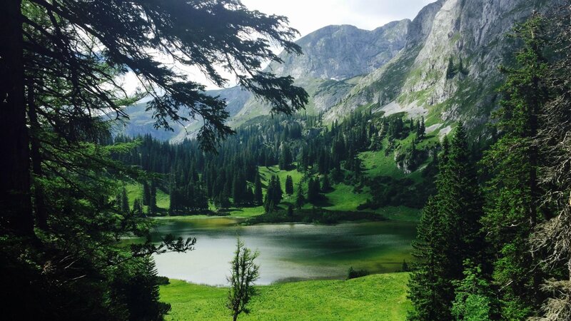 Mountain Lake Surrounded by Trees — Green