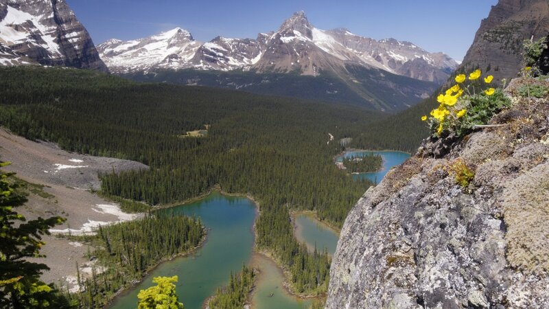 Mountain Lake Valley — Blue, Serene, Summer, Photograph, Snow-capped Mountains