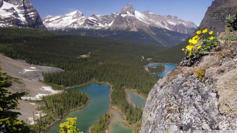 Mountain Lake Valley — Blue, Serene