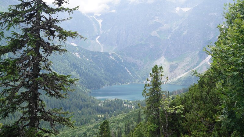 Mountain Lake Valley — Green, Serene, Afternoon, Photograph, Trees, Mountains