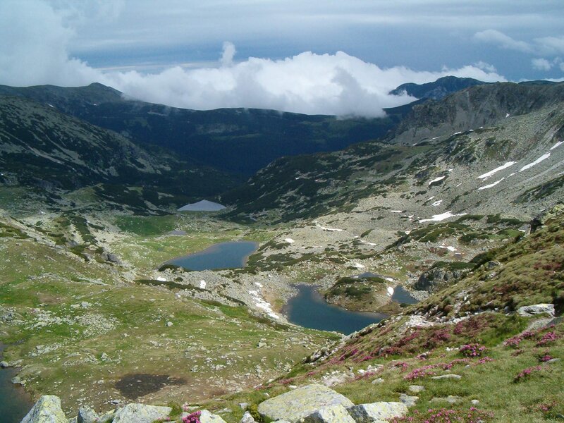 Mountain Lake Valley — Green