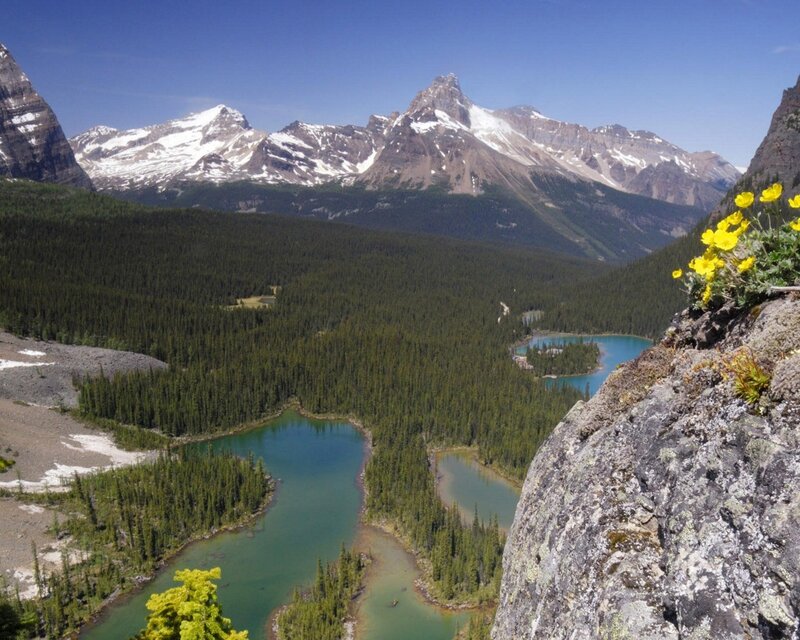 Mountain lake valley landscape