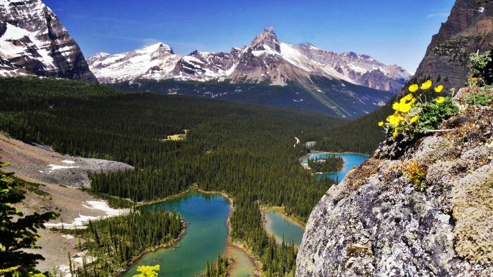 Mountain lake valley landscape