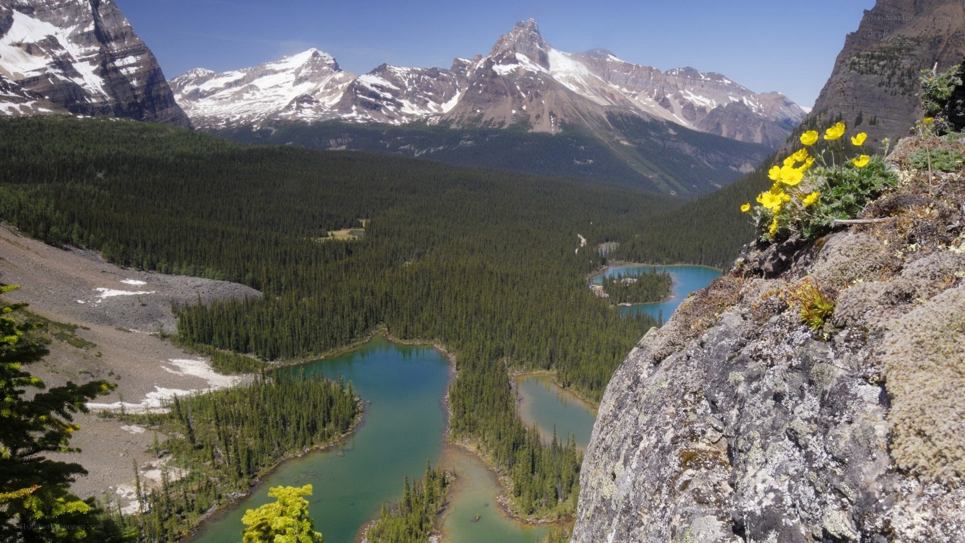 Mountain lake valley landscape