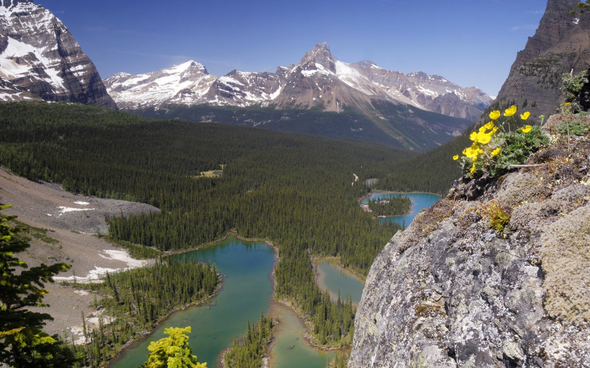 Mountain lake valley landscape