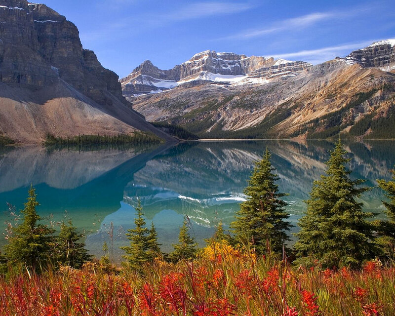 Mountain lake with autumn flowers