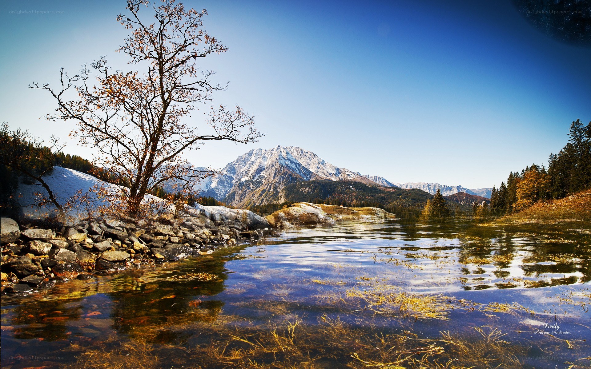 Mountain lake with autumn tree