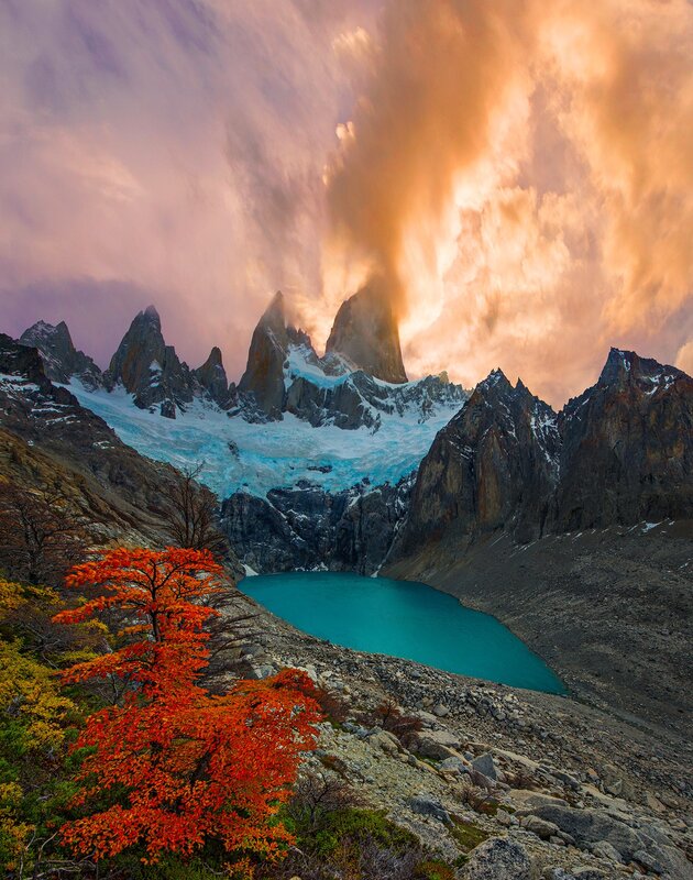 Mountain Lake with Autumn Tree — Orange