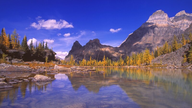 Mountain lake with autumn trees
