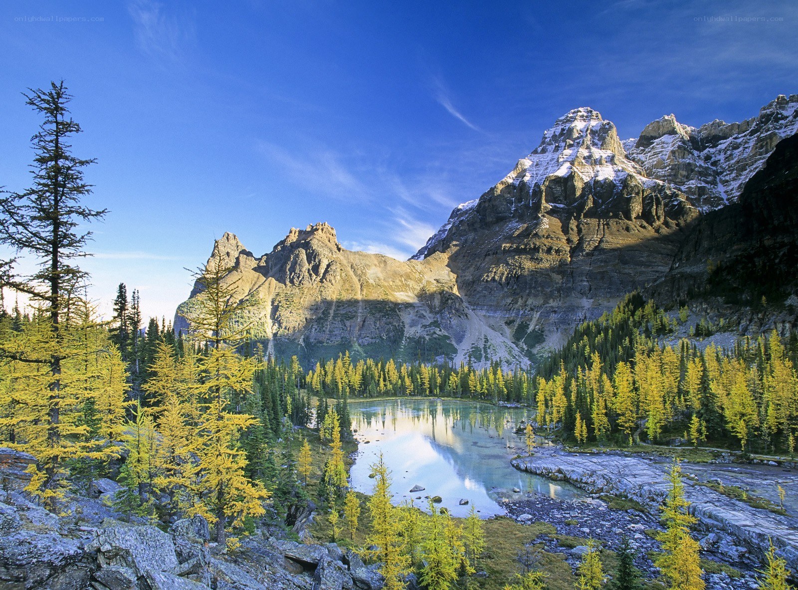 Mountain lake with autumn trees