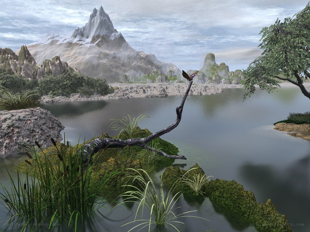 Mountain lake with butterfly