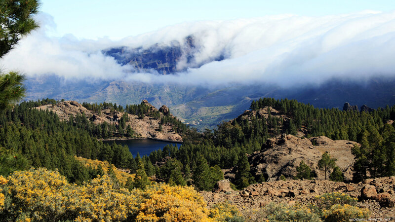 Mountain Lake with Clouds — Green