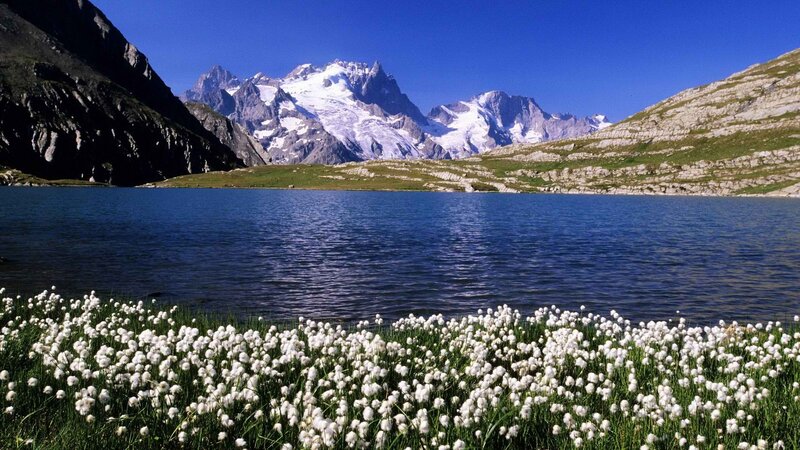 Mountain lake with cotton grass