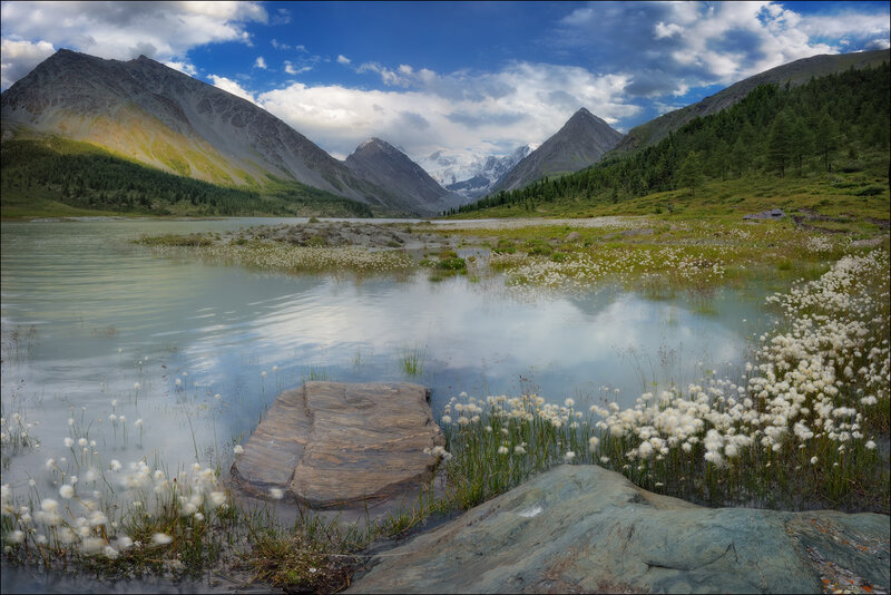 Mountain Lake with Cotton Grass — Blue