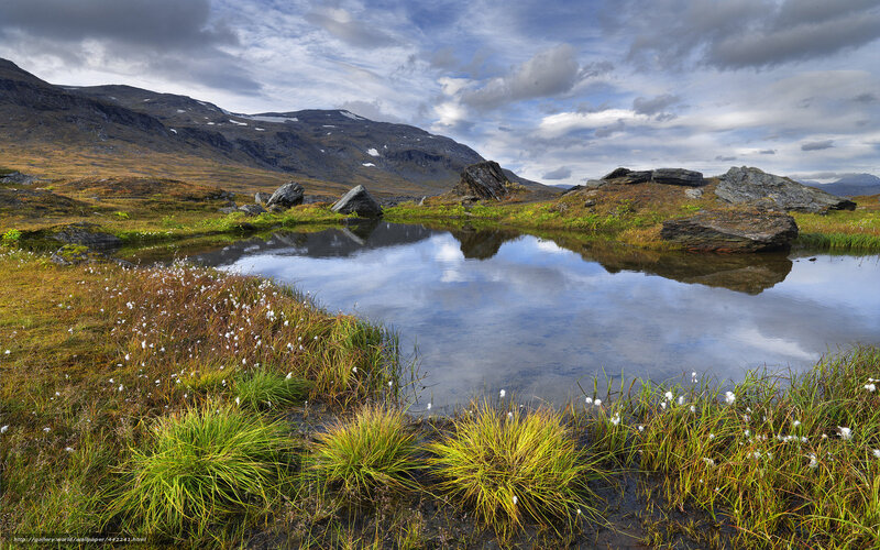 Mountain lake with cotton grass