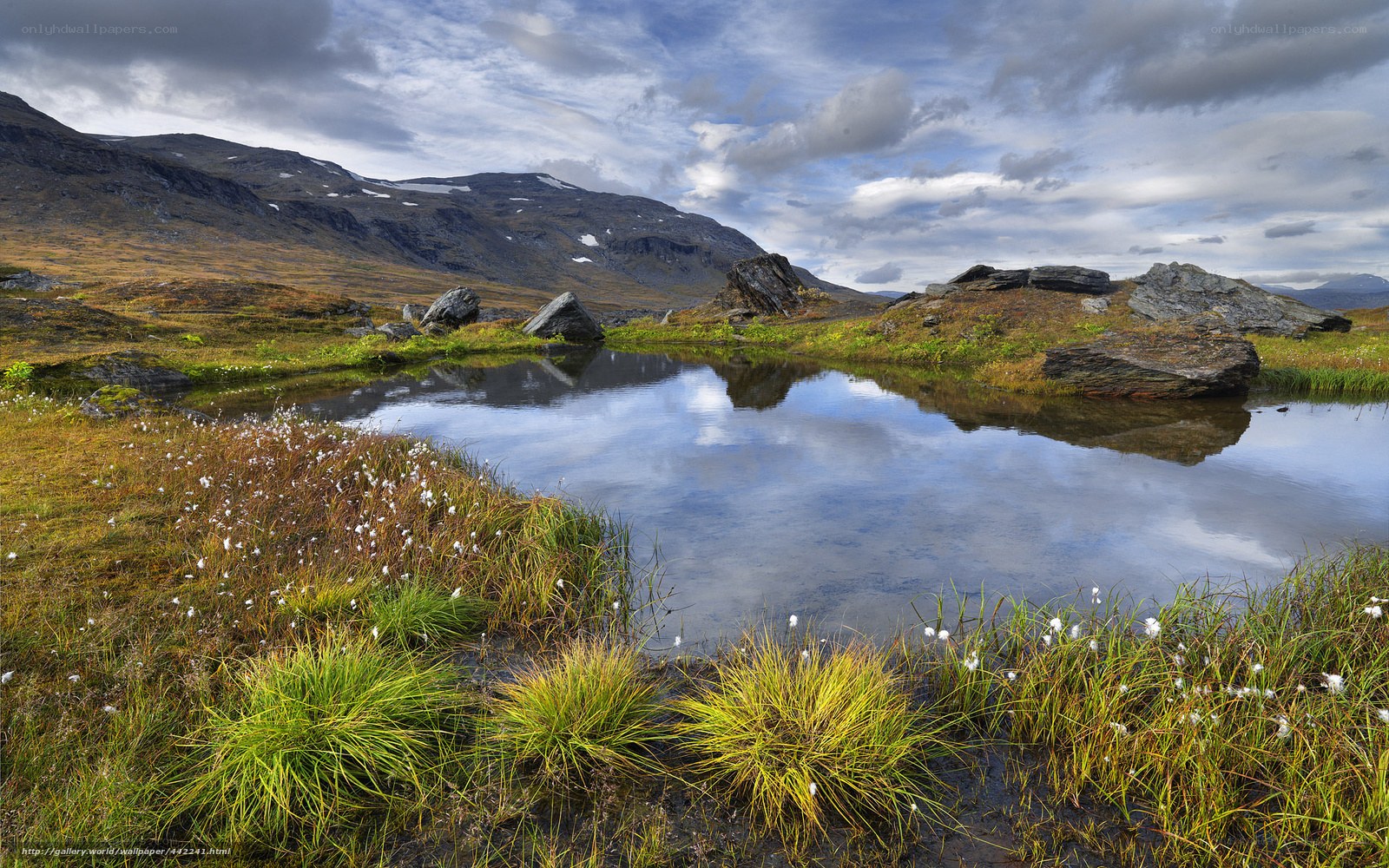 Mountain lake with cotton grass