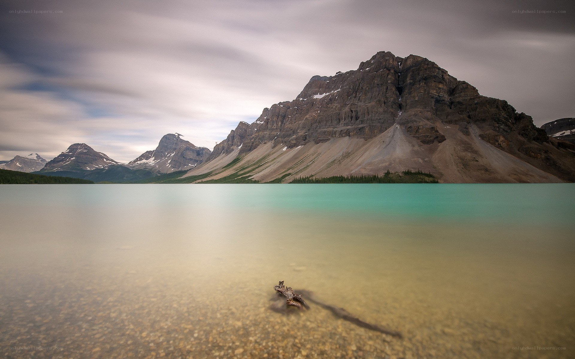 Mountain lake with driftwood