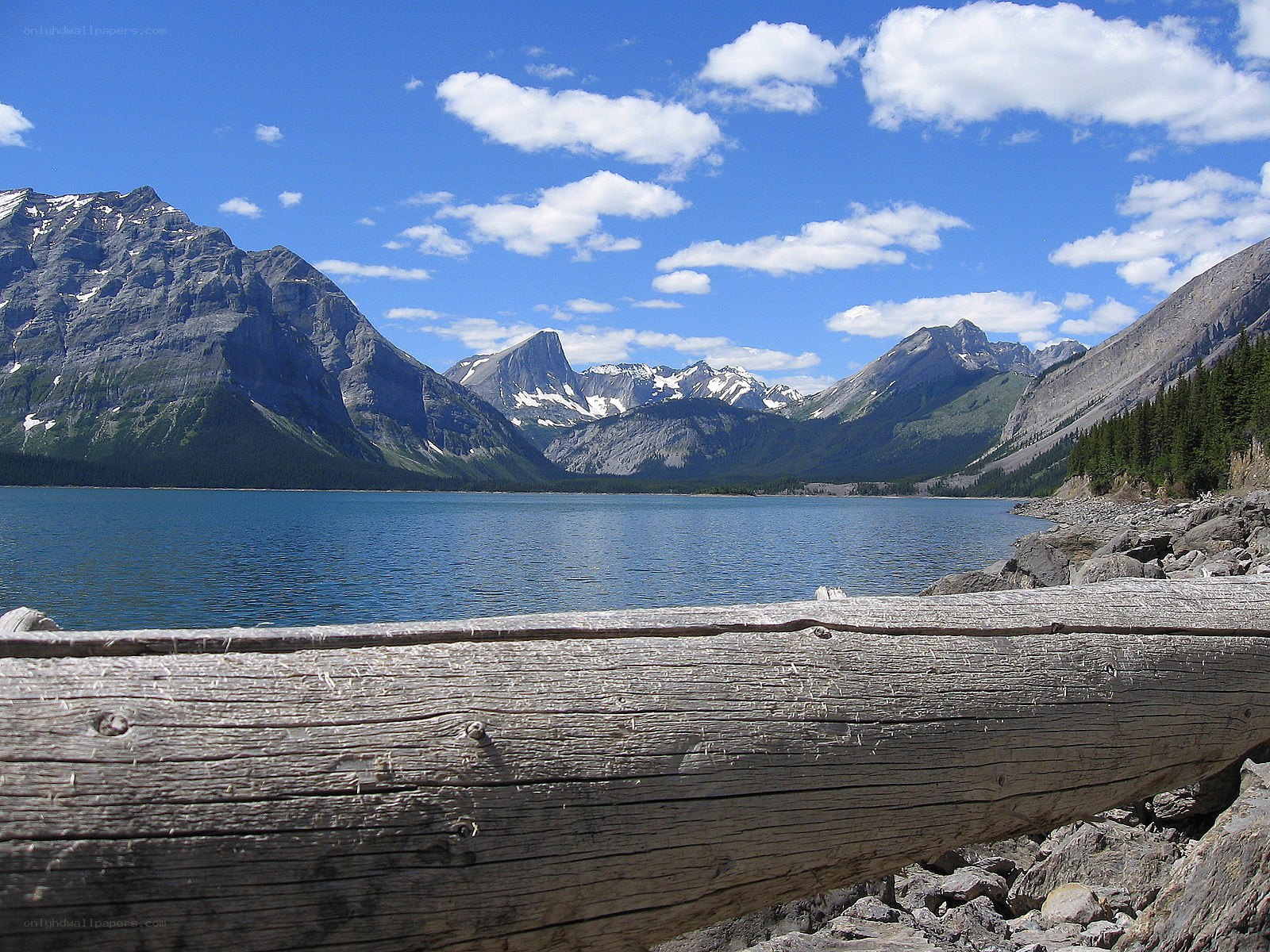 Mountain lake with driftwood