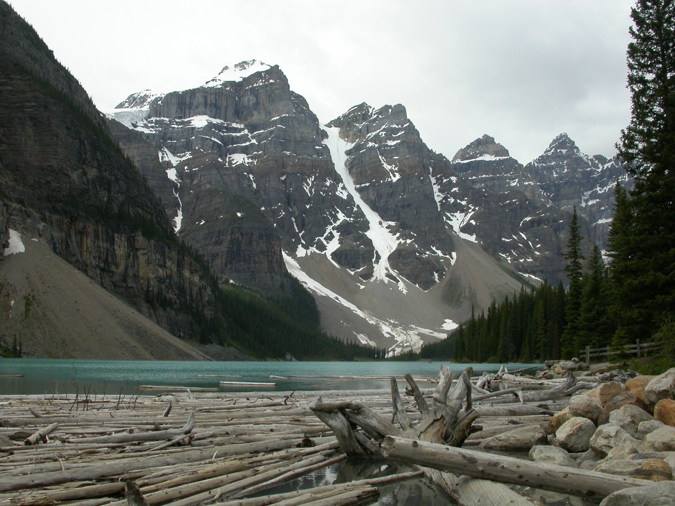 mountain lake with driftwood