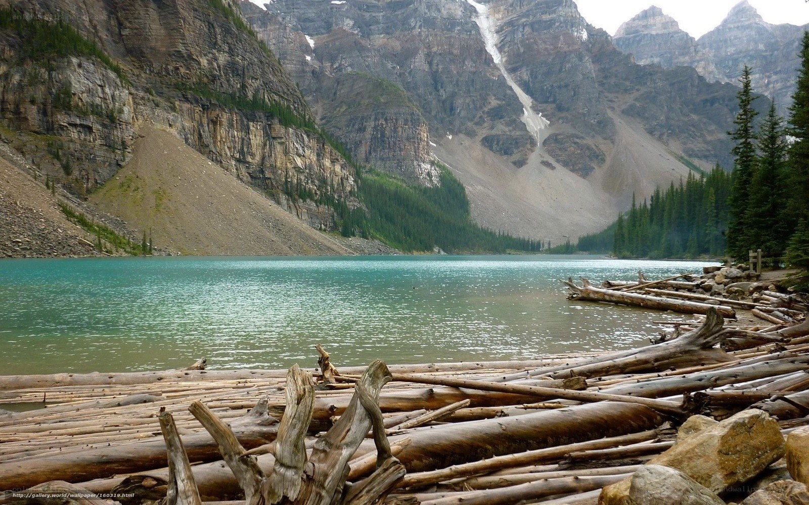 Mountain lake with driftwood