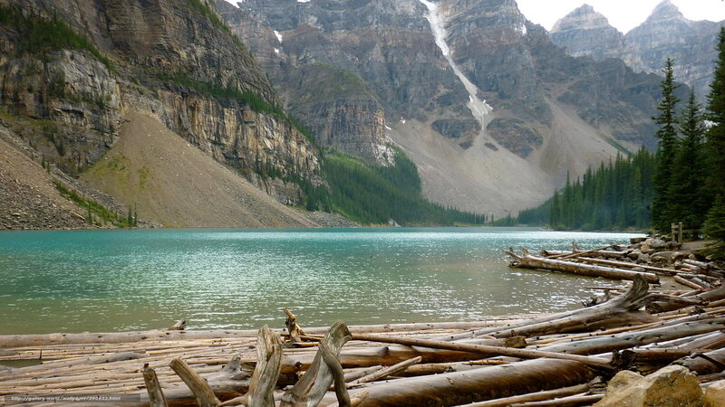 Mountain lake with driftwood