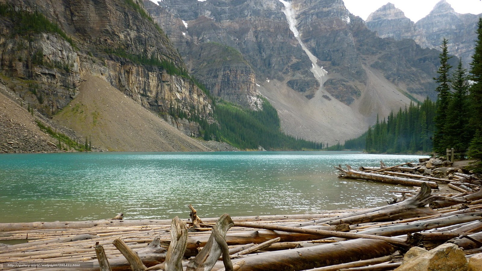 Mountain lake with driftwood