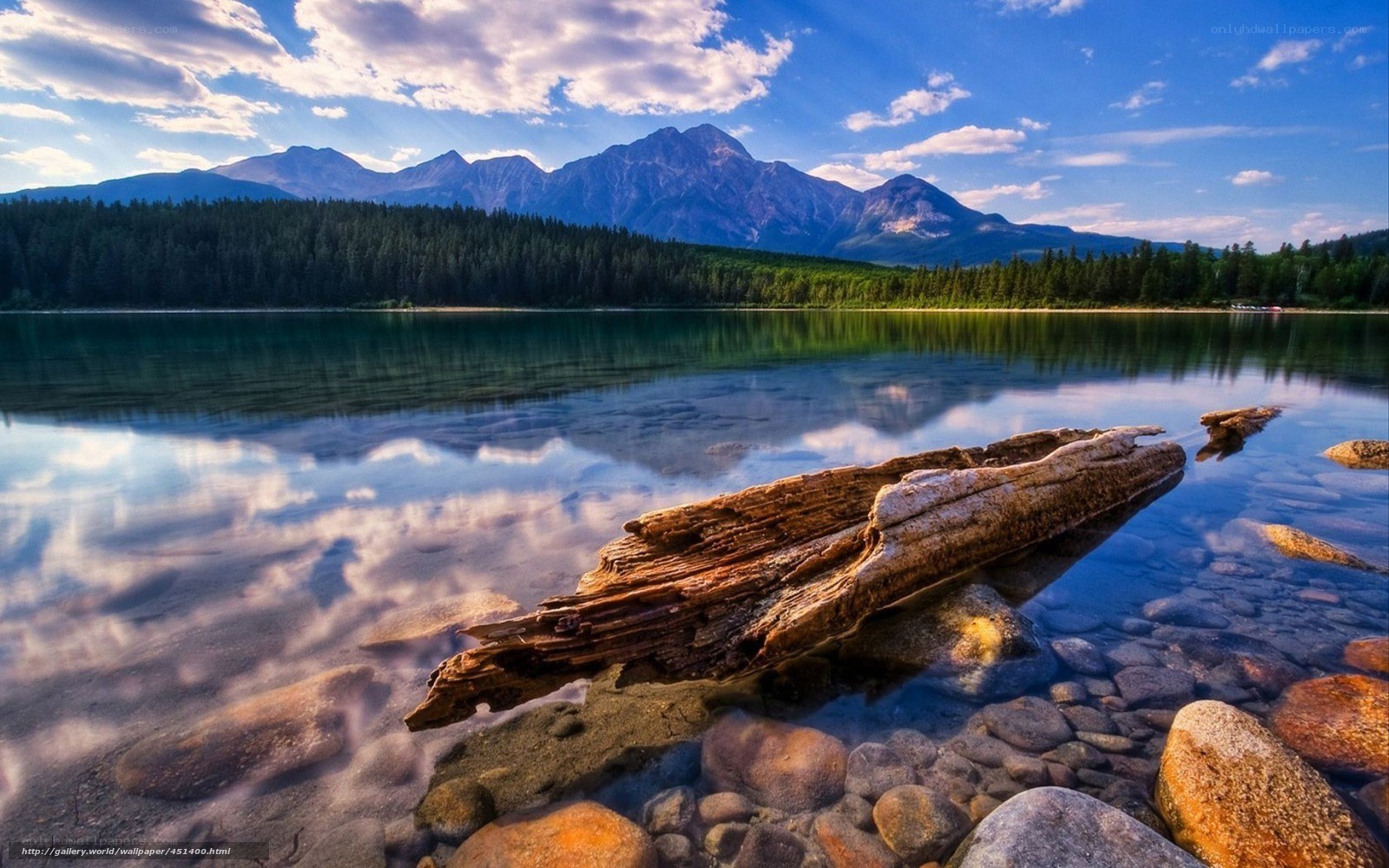 Mountain lake with driftwood