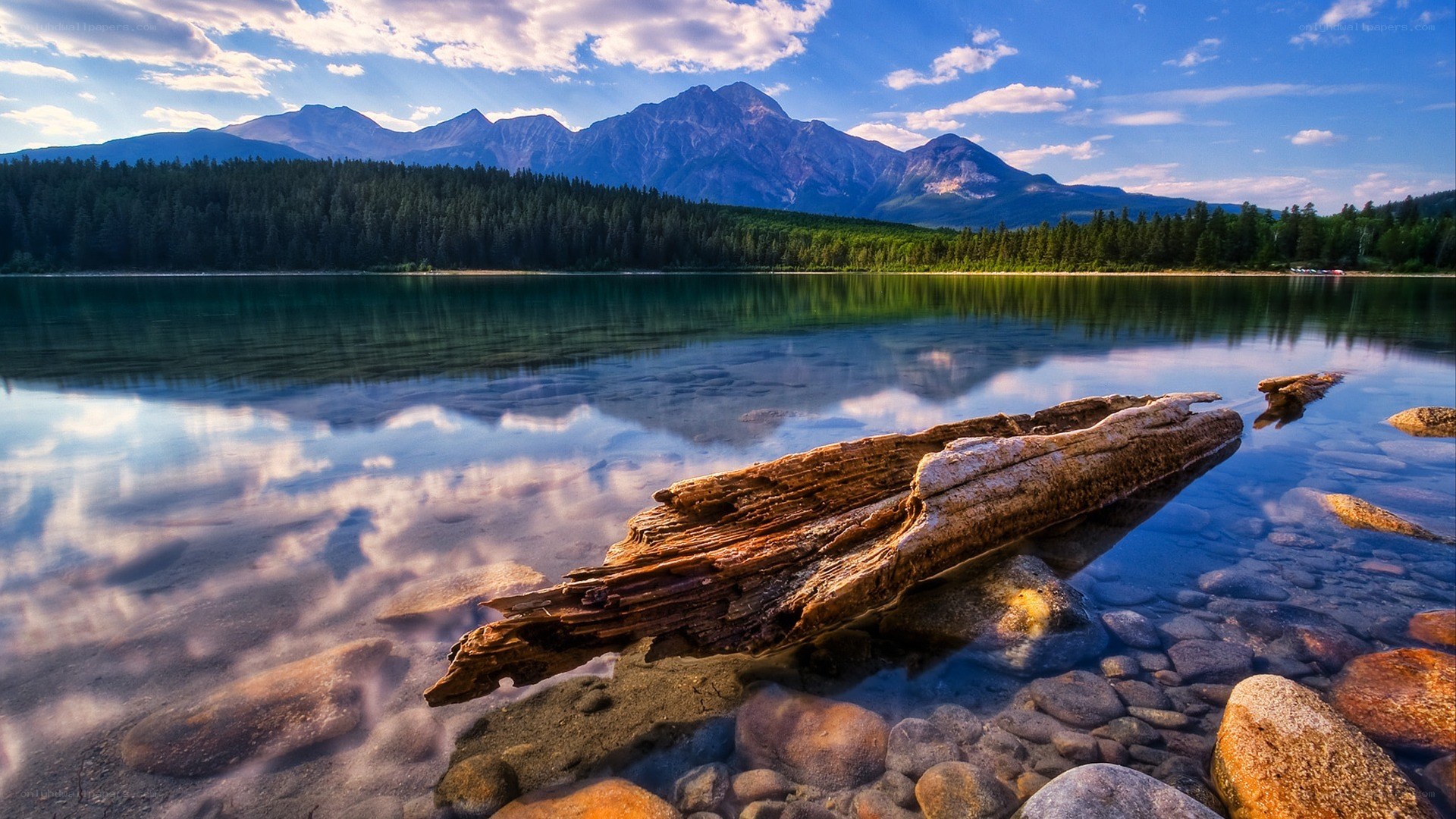 Mountain lake with driftwood