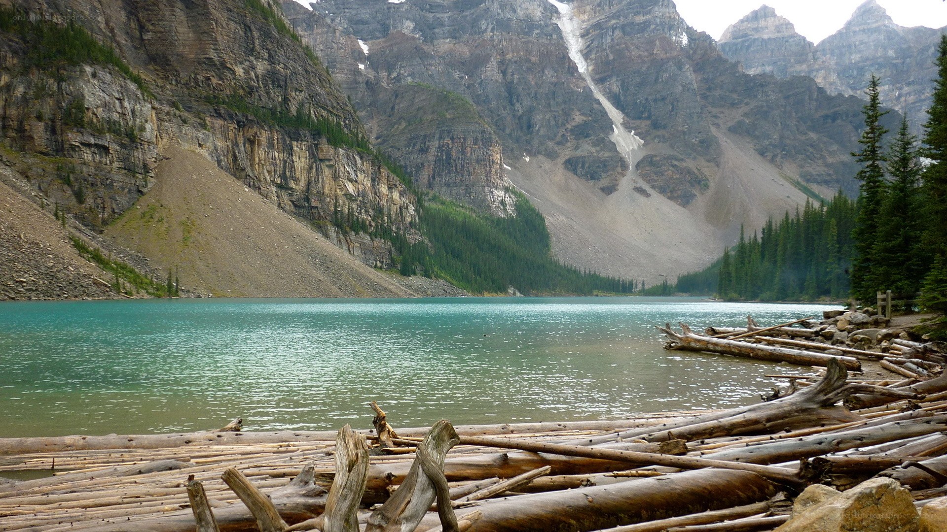 Mountain lake with driftwood
