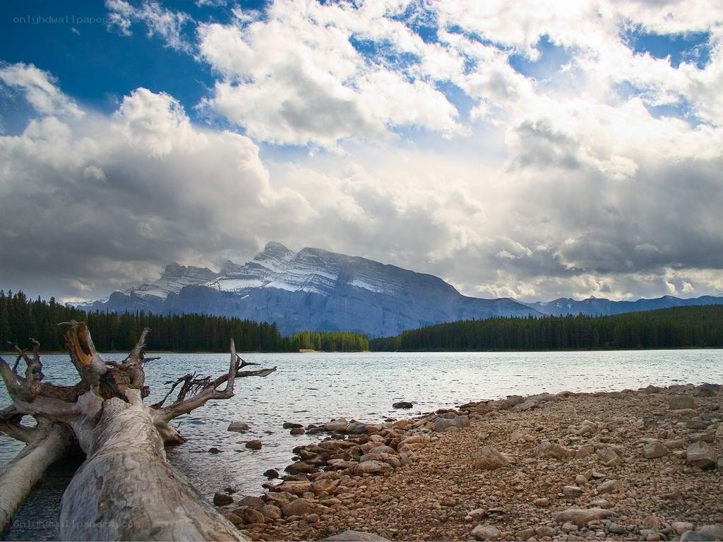 Mountain lake with driftwood