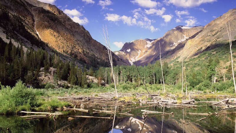 Mountain Lake with Driftwood — Blue, Serene, Afternoon, Photograph, Mountains