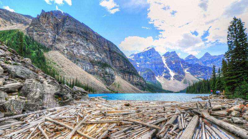 Mountain Lake with Driftwood — Blue, Serene