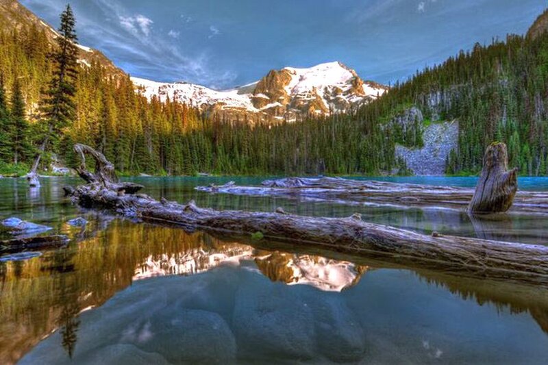 Mountain Lake with Driftwood — Blue