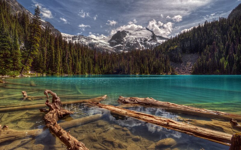 Mountain Lake with Driftwood — Turquoise